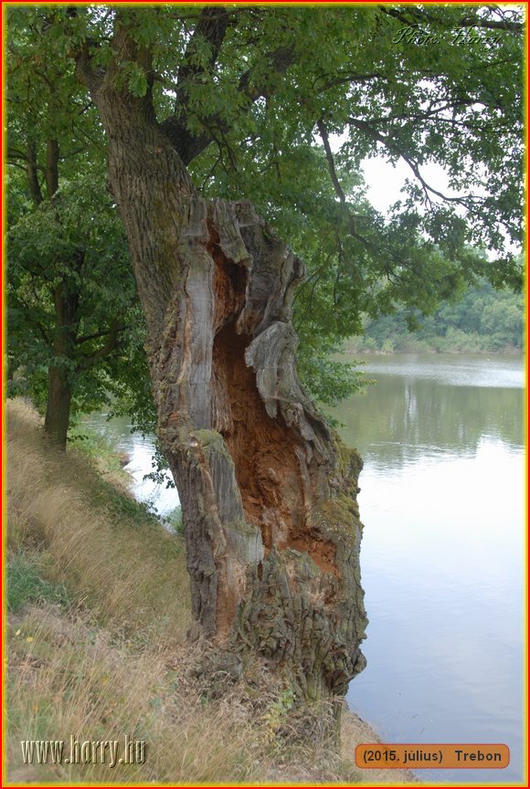 (2015.julius)Trebon-111.jpg