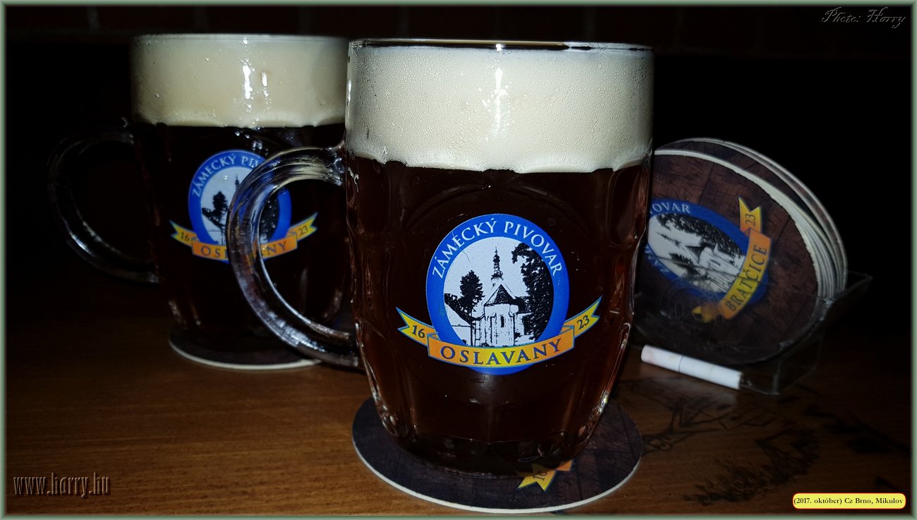 (2017.10.29-31.)Brno_Mikulov-014.jpg