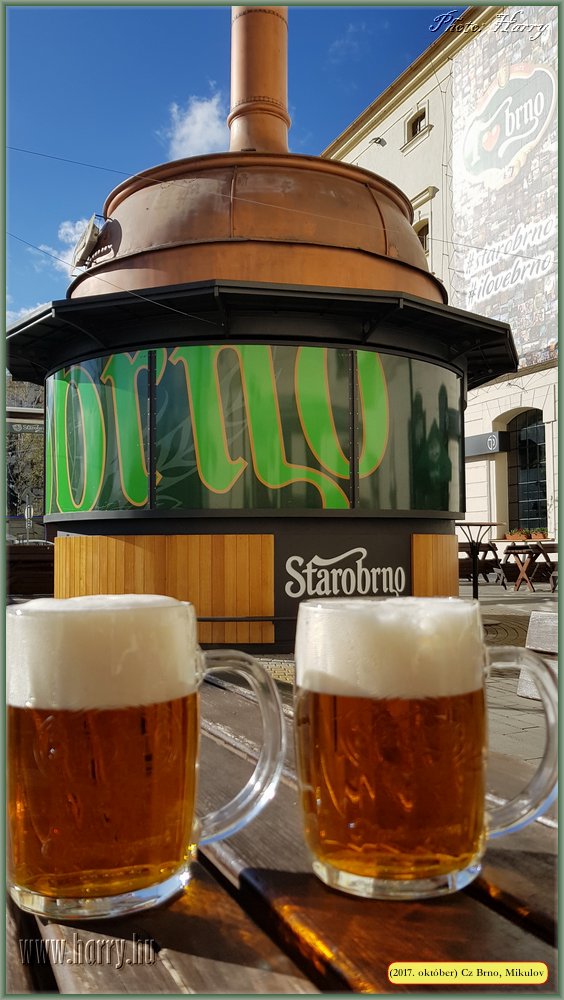 (2017.10.29-31.)Brno_Mikulov-027.jpg