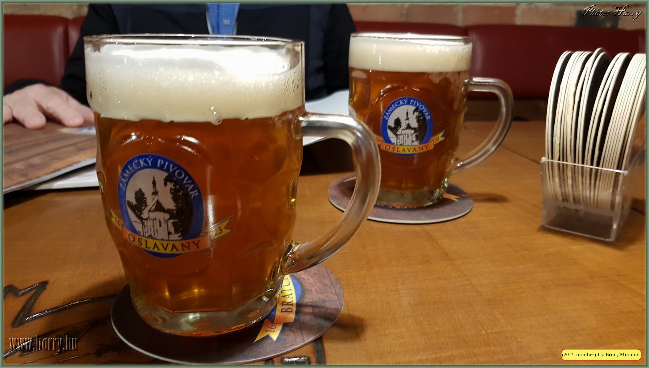 (2017.10.29-31.)Brno_Mikulov-039.jpg