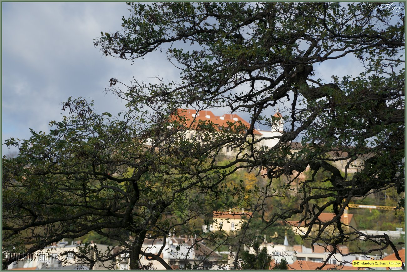 (2017.10.29-31.)Brno_Mikulov-081.jpg