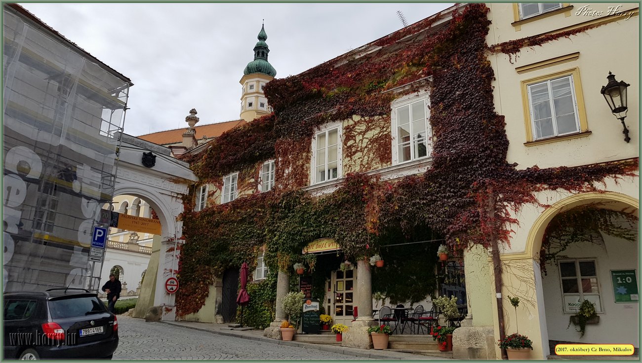 (2017.10.29-31.)Brno_Mikulov-086.jpg
