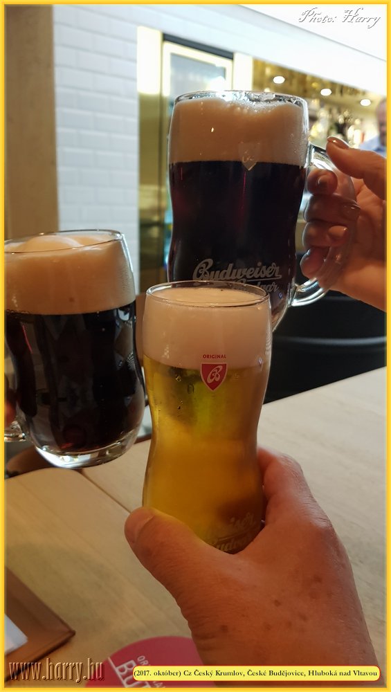 (2017.oktober)Cz-Cesky_Krumlov_Ceske_Budejovice_Hluboka-081.jpg