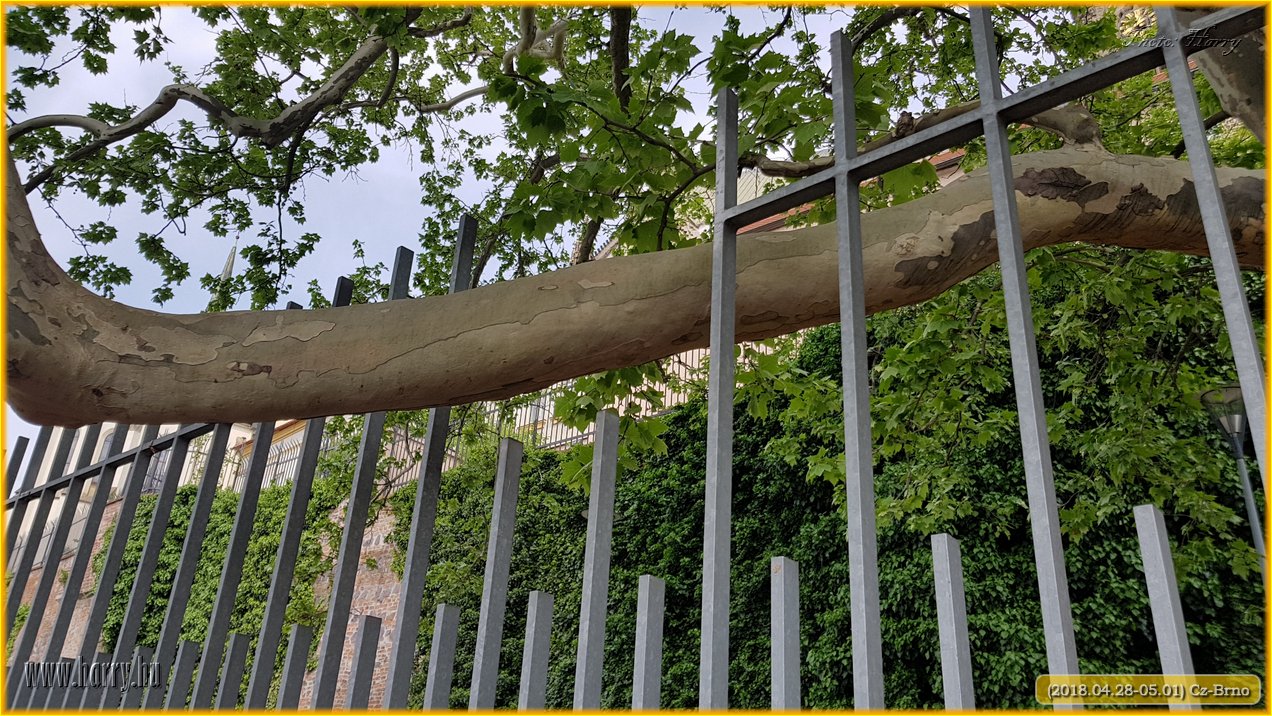(2018.04.28-05.01)Cz-Brno-184.jpg