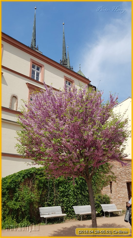 (2018.04.28-05.01)Cz-Brno-186.jpg