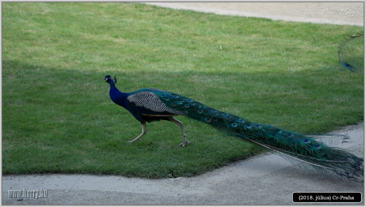 (2018.julius)Cz-Praga-249.jpg