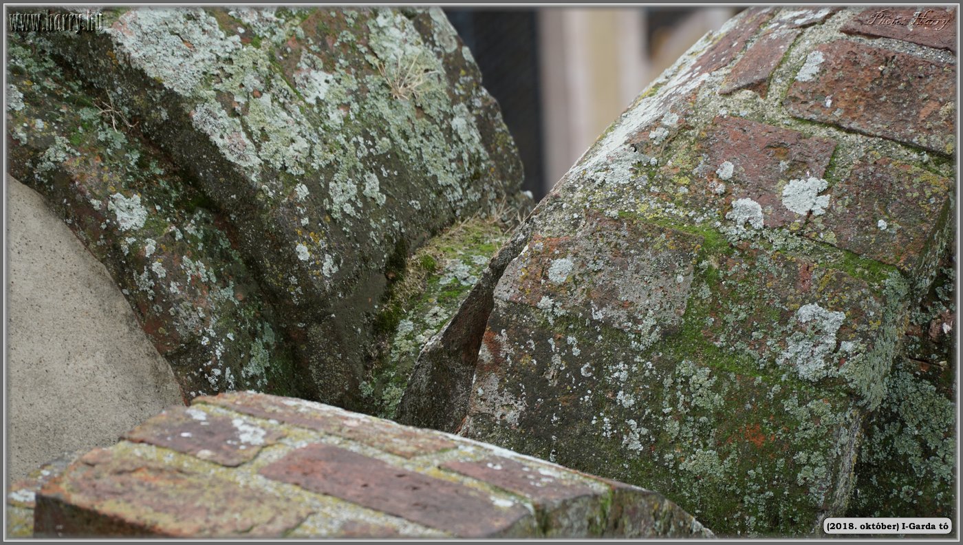2018.oktober-I-Garda-to-127.jpg