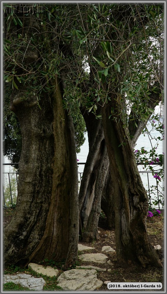 2018.oktober-I-Garda-to-155.jpg