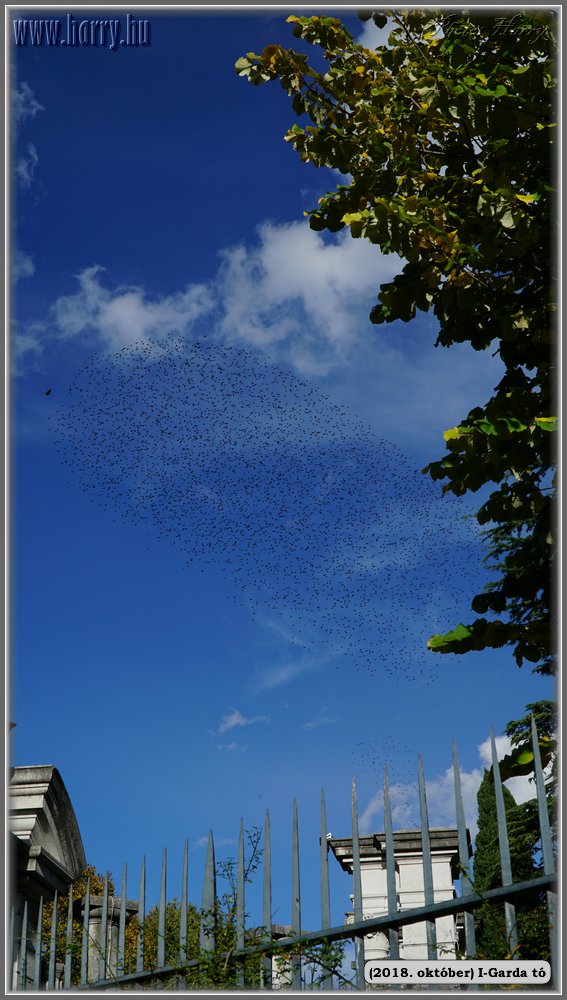 2018.oktober-I-Garda-to-177.jpg
