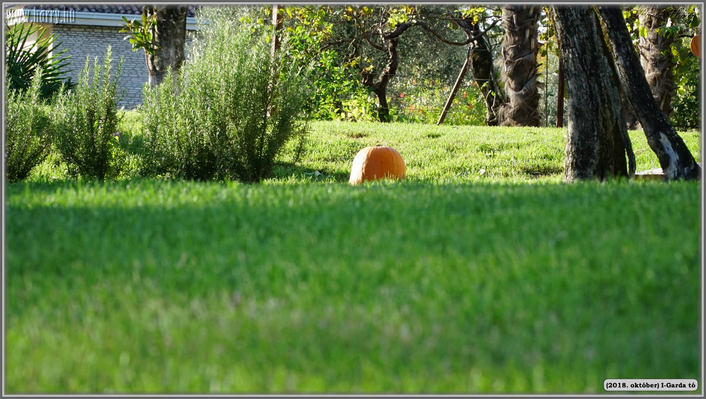 2018.oktober-I-Garda-to-209.jpg
