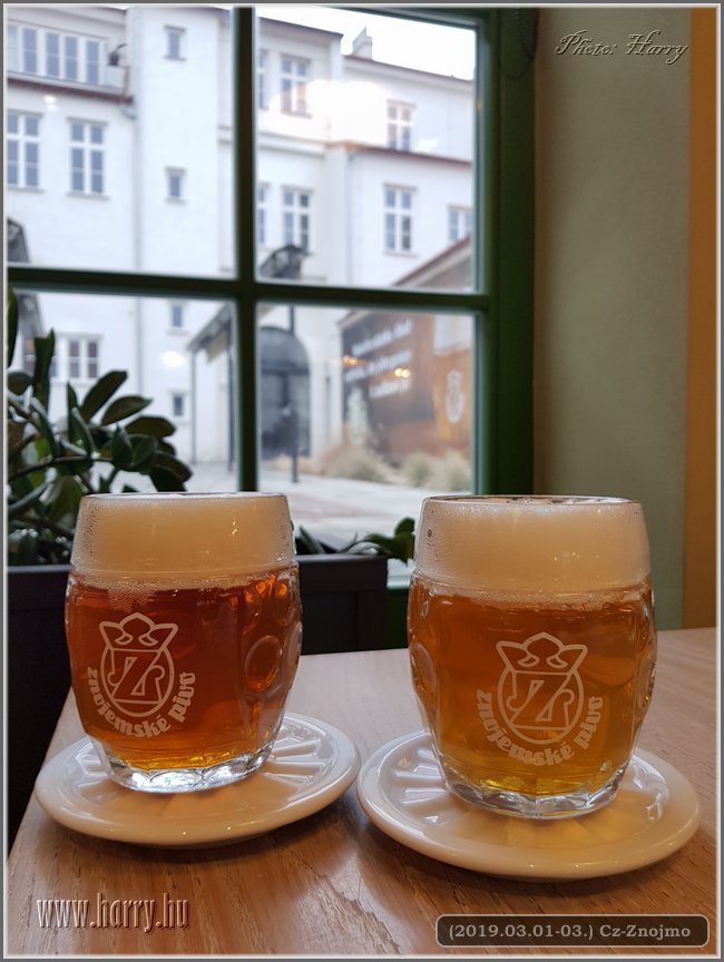 2019.03.01.-03-Cz-Znojmo-49.jpg