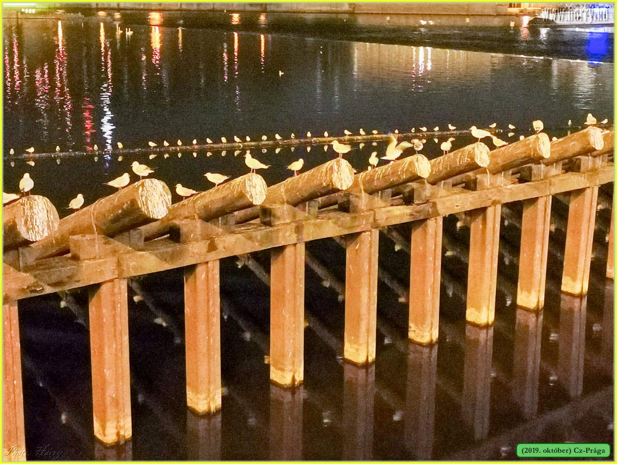 2019.oktober-Cz-Praga-048.jpg