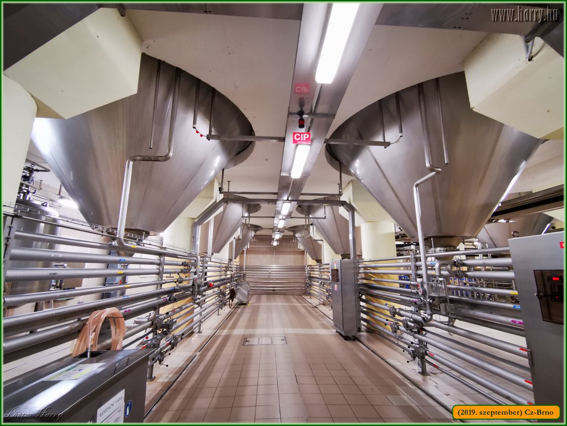 2019.szeptember-Cz-Brno-146.jpg
