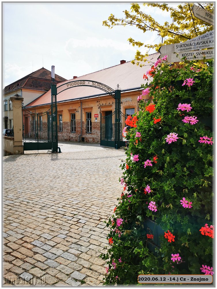 (2020.06.12-14.)Cz-Znojmo-027.jpg