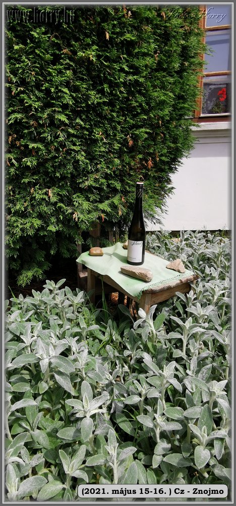 2021.05.15-16-Cz-Znojmo-007.jpg
