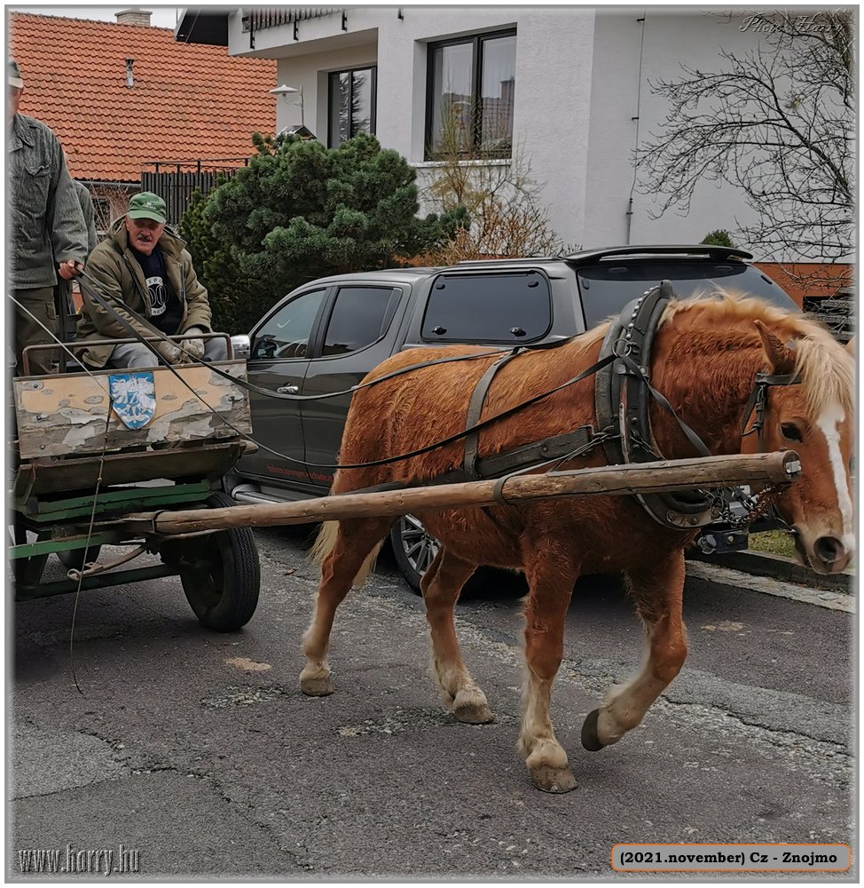 2021.november-Cz-Znojmo-078.jpg