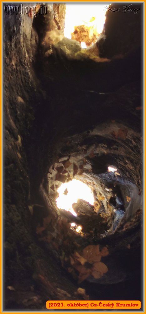 2021.oktober-Cz-Cesky_Krumlov-125.jpg