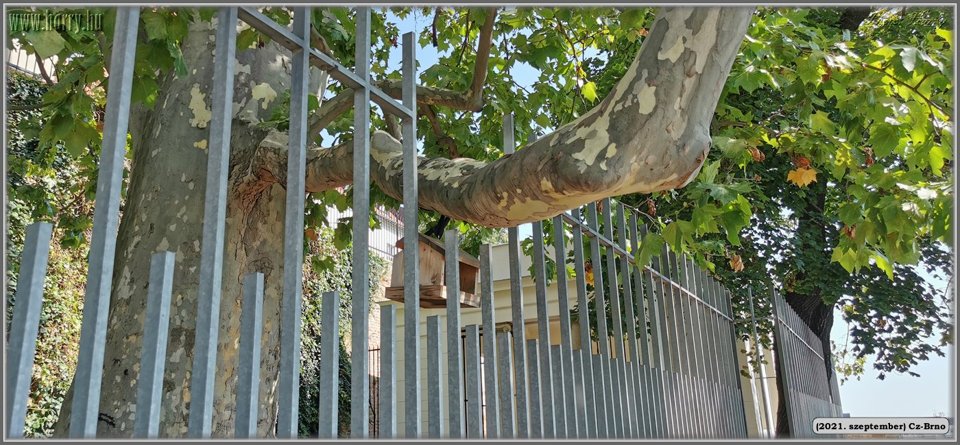 2021.augusztus-Cz-Brno-083.jpg