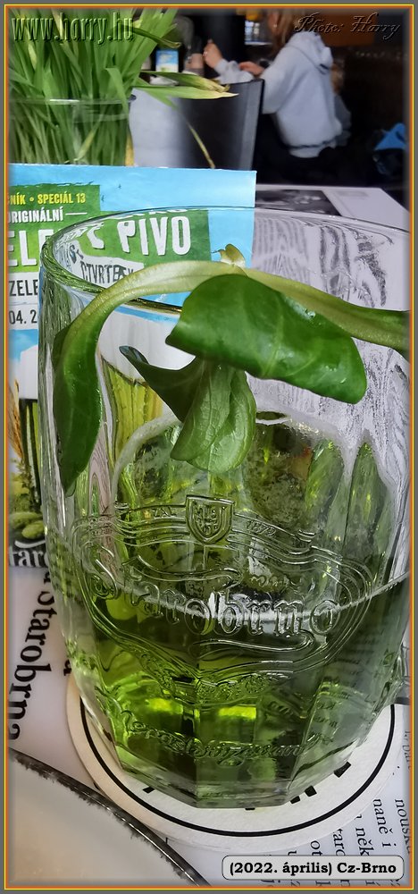 2022.04.-Cz-Brno-076.jpg