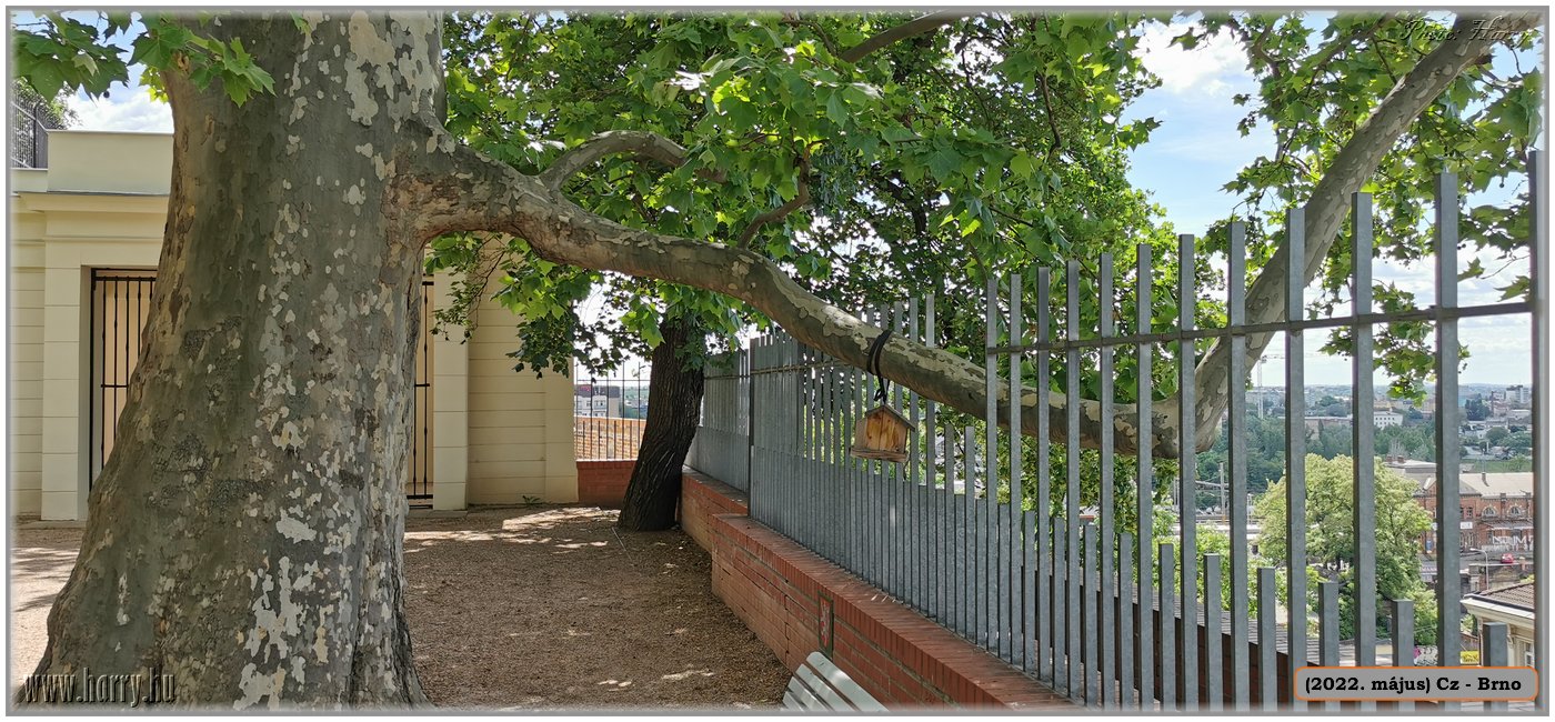 2022.05.-Cz-Brno-052.jpg