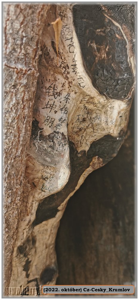 2022.10-Cz-Cesky_Krumlov-065.jpg
