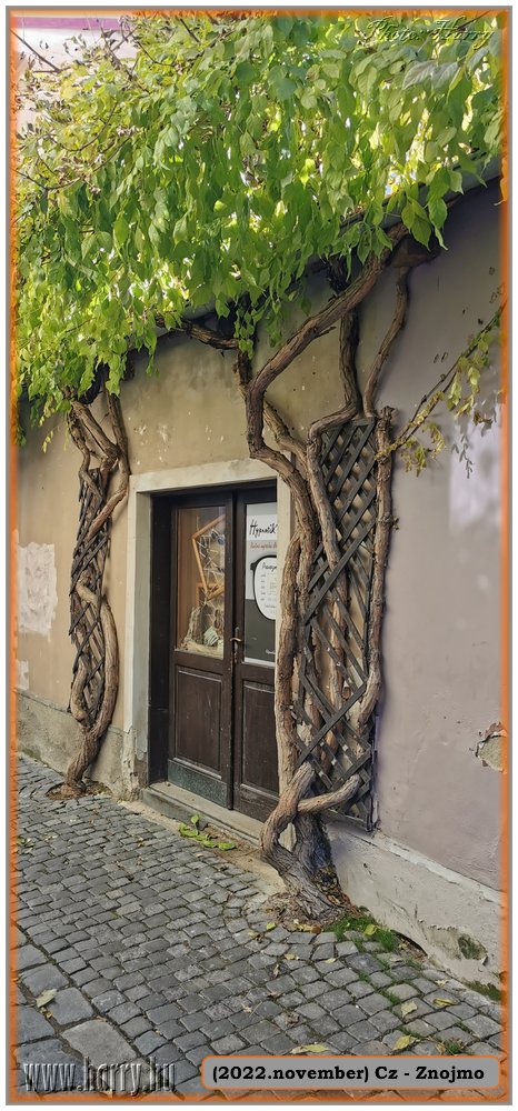 2022.11.-Cz-Znojmo-036.jpg