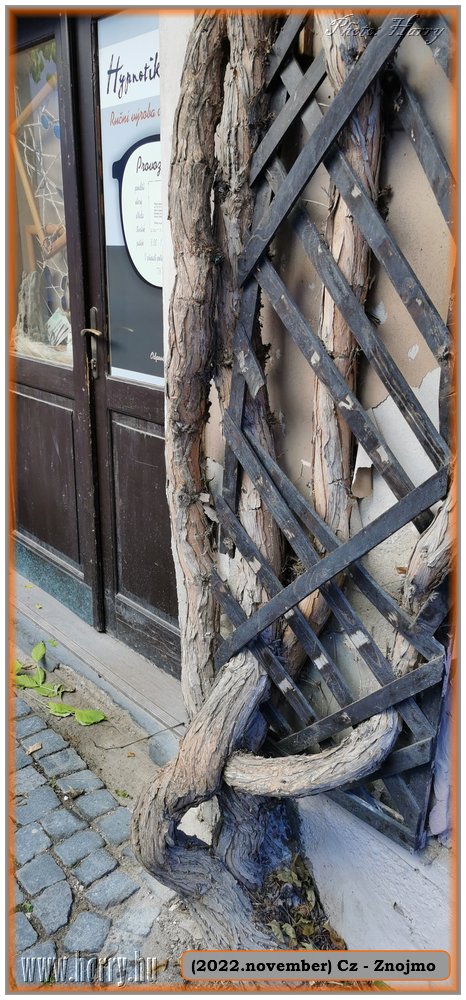 2022.11.-Cz-Znojmo-037.jpg