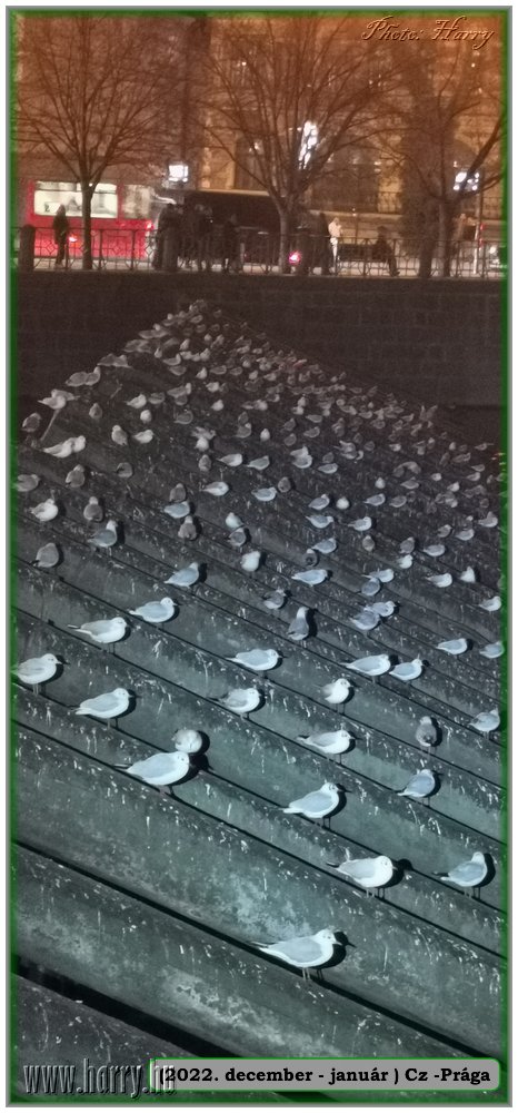 2022.12-Cz-Praga-160.jpg