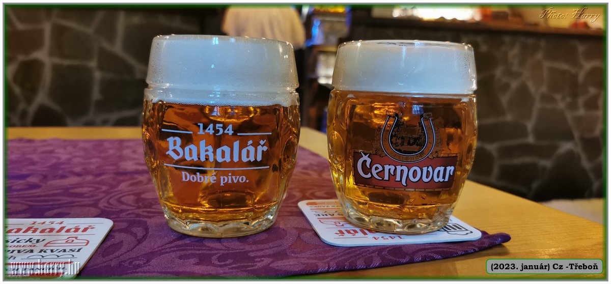 2023.01-Cz-Trebon-36.jpg