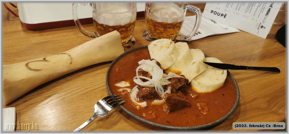 2023.02-Cz-Brno-111.jpg