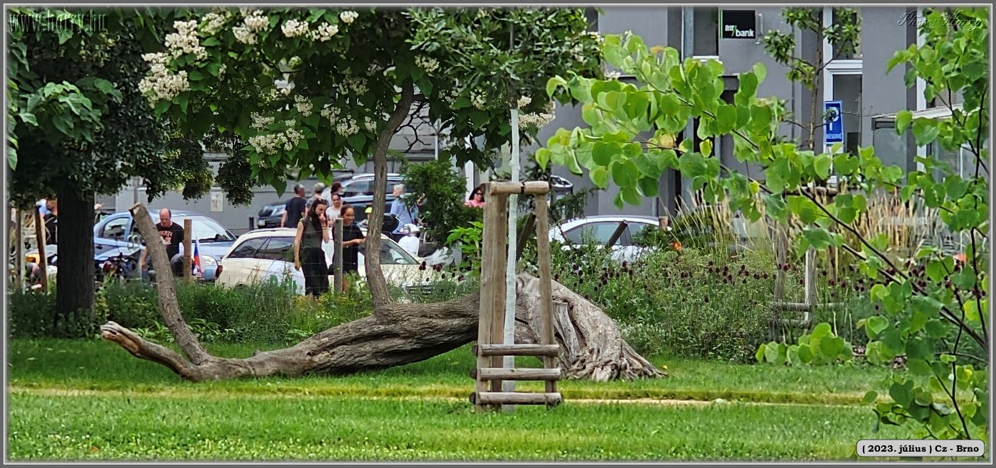 2023.07-Cz-Brno-031.jpg