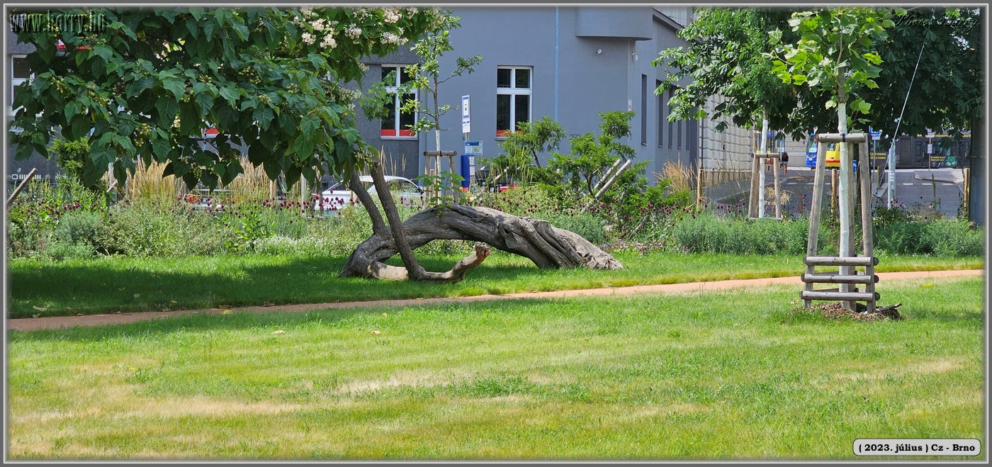 2023.07-Cz-Brno-085.jpg
