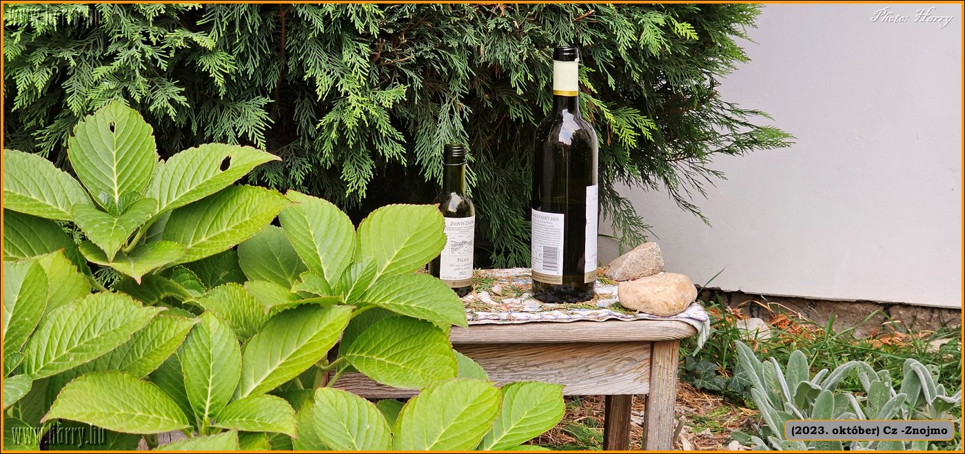2023.10-Cz-Znojmo-039.jpg