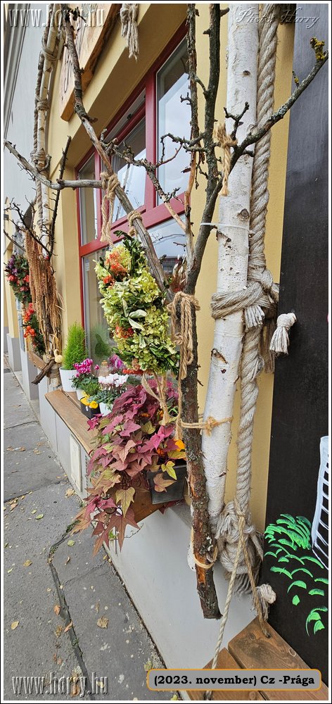 2023.11-Cz-Praga-103.jpg