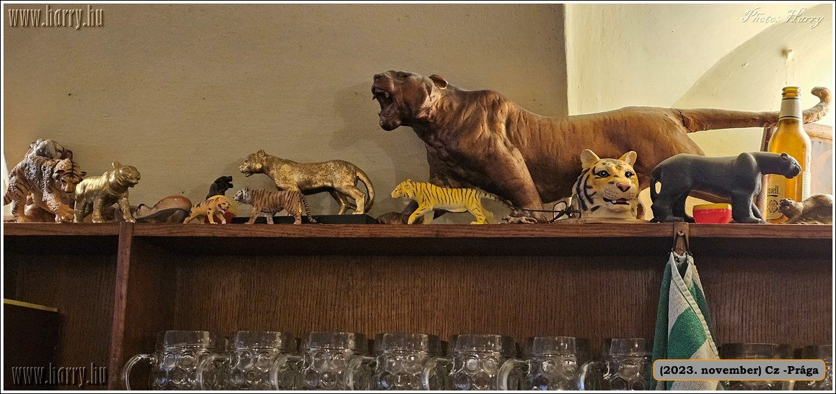 2023.11-Cz-Praga-297.jpg