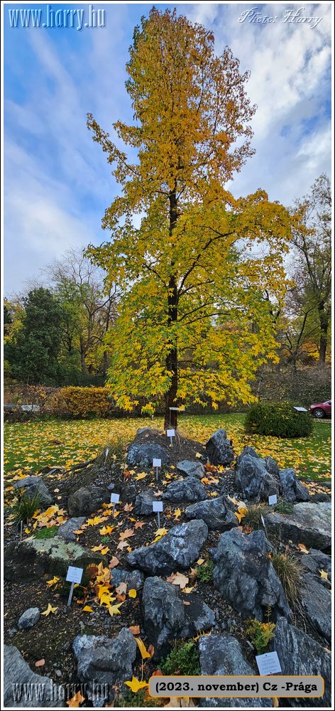 2023.11-Cz-Praga-349.jpg
