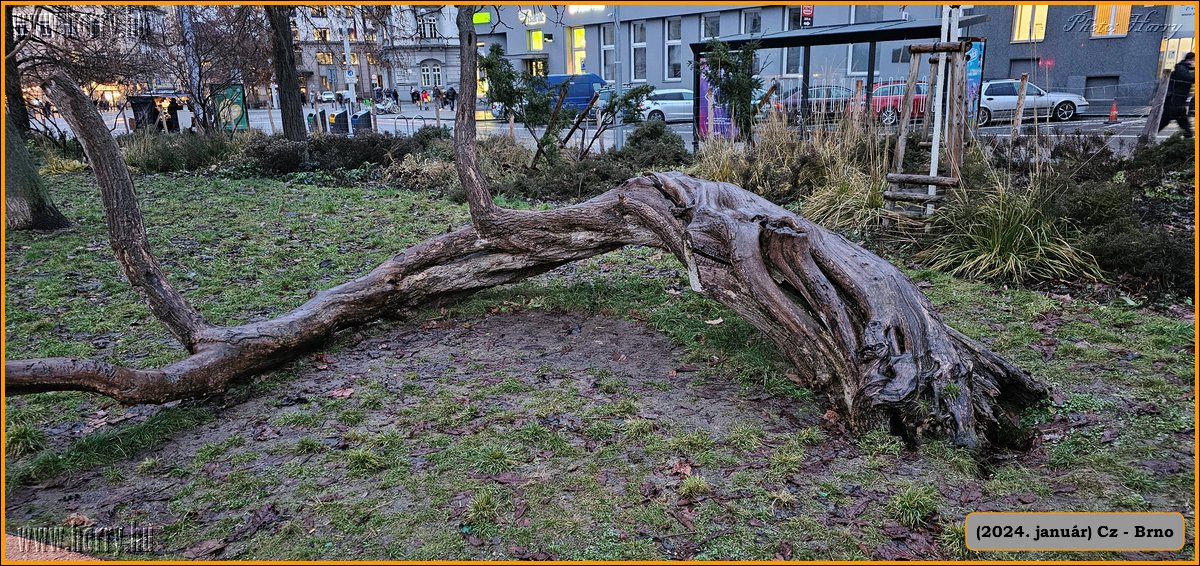 2024.01-Cz-Brno-014.jpg