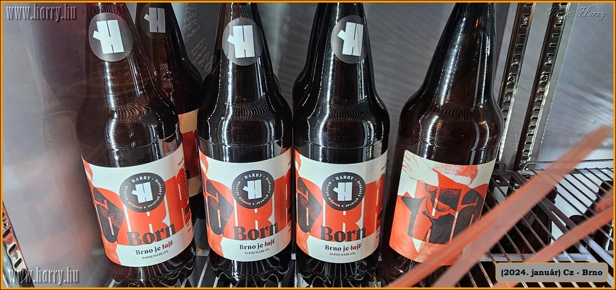 2024.01-Cz-Brno-036.jpg