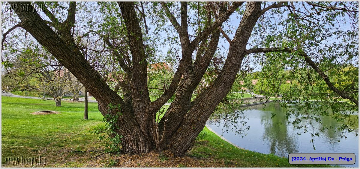 2024.04-Cz-Praga-001.jpg