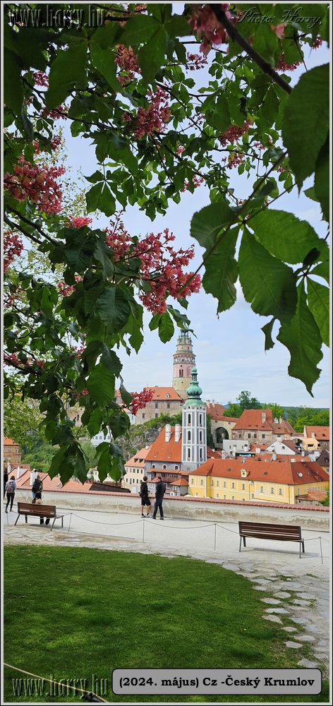 2024.05--Cz-Cesky_Krumlov-248.jpg