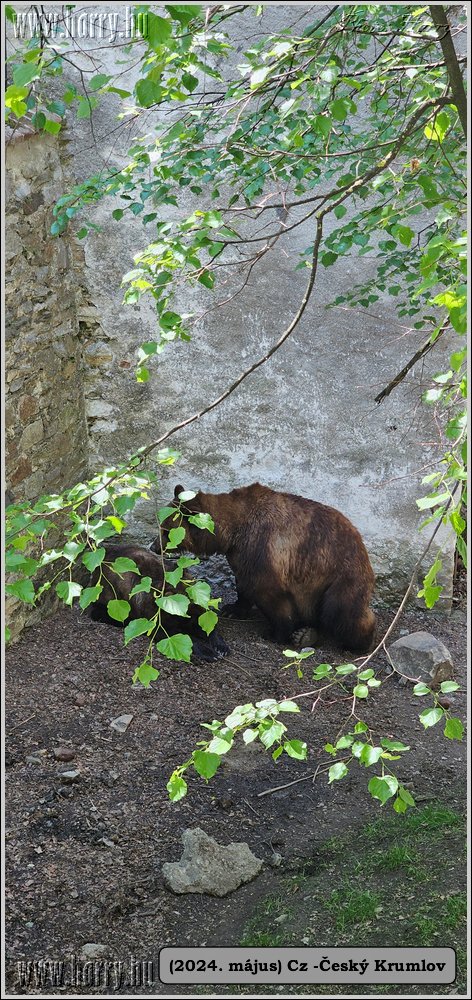 2024.05--Cz-Cesky_Krumlov-315.jpg