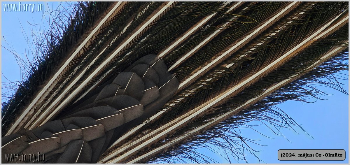 2024.05-Cz-Olmutz-111.jpg