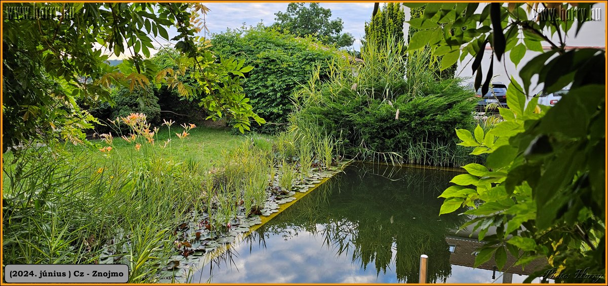 2024.06-Cz-Znojmo-108.jpg