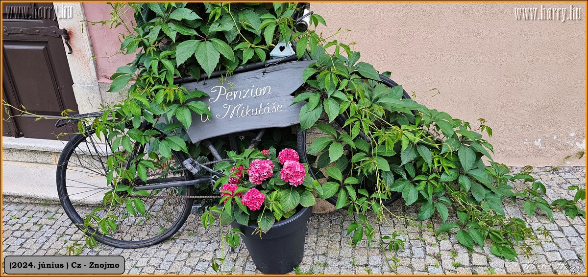 2024.06-Cz-Znojmo-121.jpg