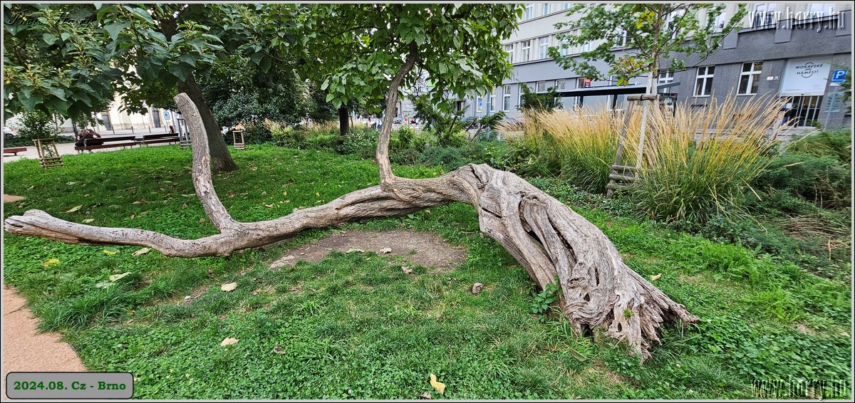 2024.08.-Cz-Brno-029.jpg