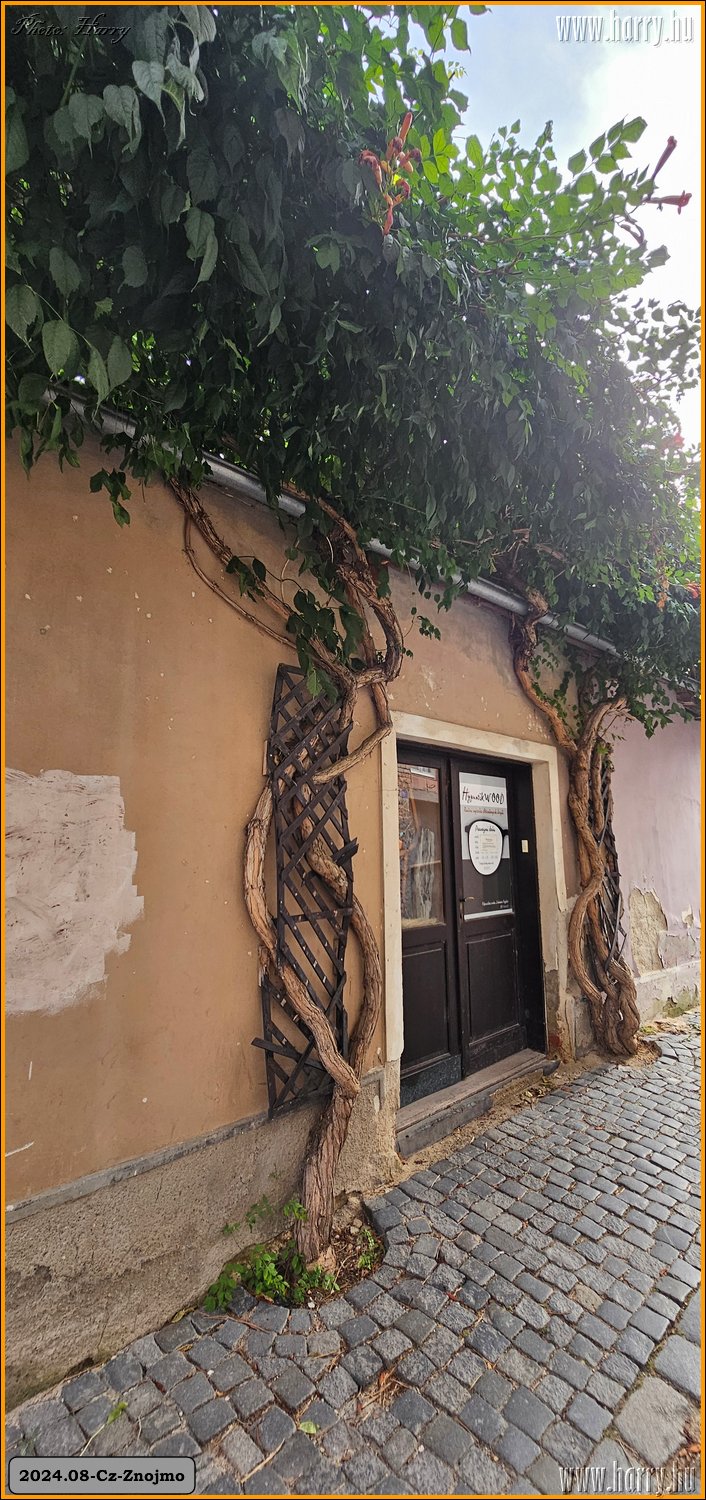 2024.09-Cz-Znojmo-165.jpg