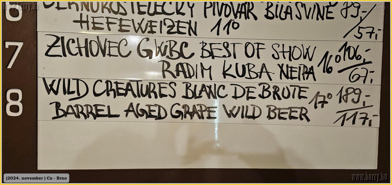 2024.11-Cz-Brno-045.jpg