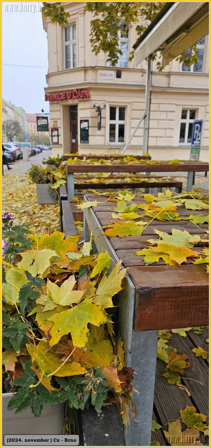 2024.11-Cz-Brno-055.jpg