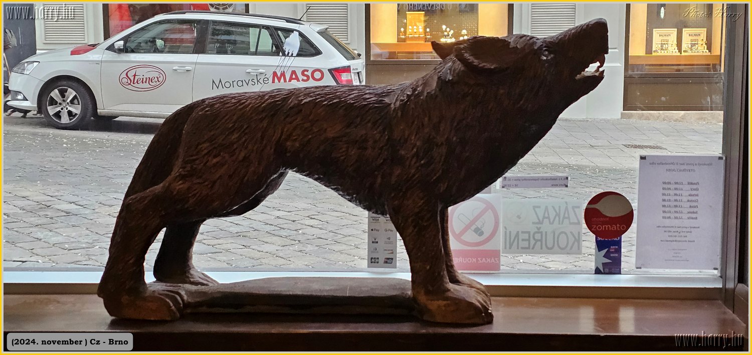 2024.11-Cz-Brno-172.jpg
