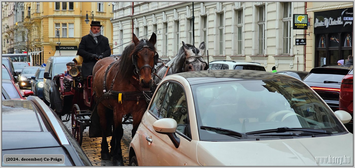 2024.12-Cz-Praga-252.jpg